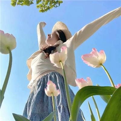 混沌之龙：赤龙战役