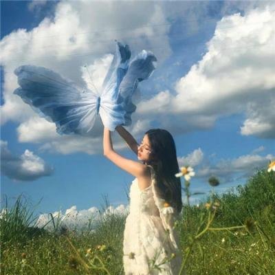 妙手太医勇闯八零